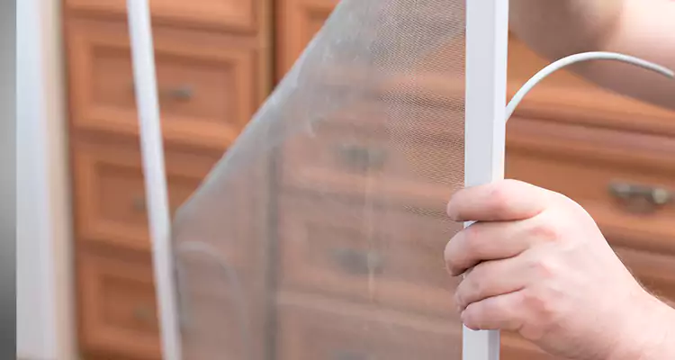 Privacy Mesh Screen Door Installation in Rockledge, FL